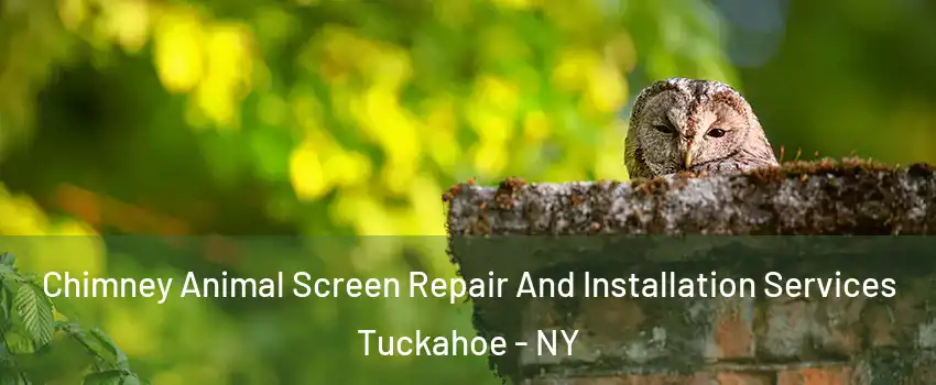  Chimney Animal Screen Repair And Installation Services Tuckahoe - NY