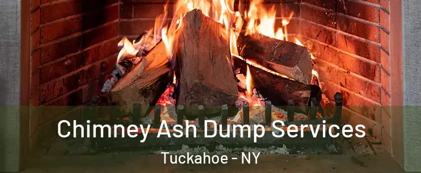  Chimney Ash Dump Services Tuckahoe - NY