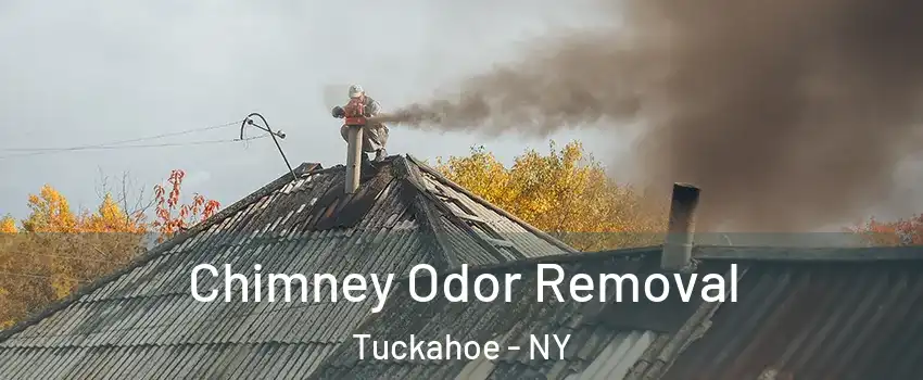  Chimney Odor Removal Tuckahoe - NY