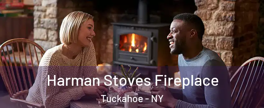  Harman Stoves Fireplace Tuckahoe - NY