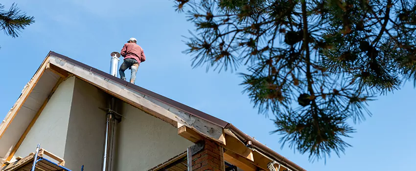 Birds Removal Contractors from Chimney in Tuckahoe, NY