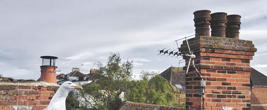 Chimney Cleaning And Restoration in Tuckahoe, New York