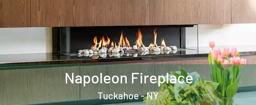  Napoleon Fireplace Tuckahoe - NY